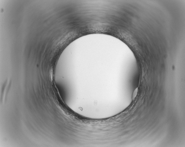 X0000086950021200705071454