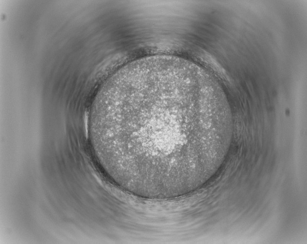 X0000086950022200705071454