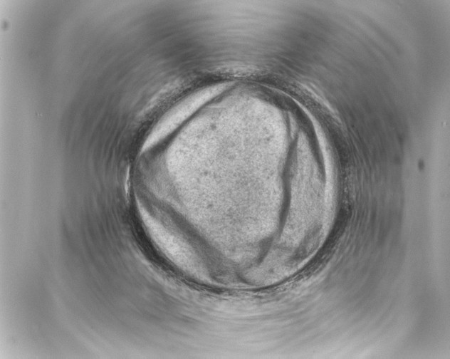 X0000086950024200705071454