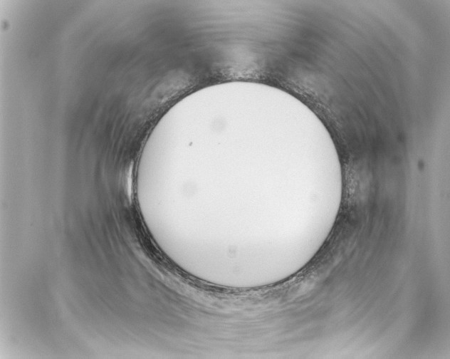 X0000086950028200705071454