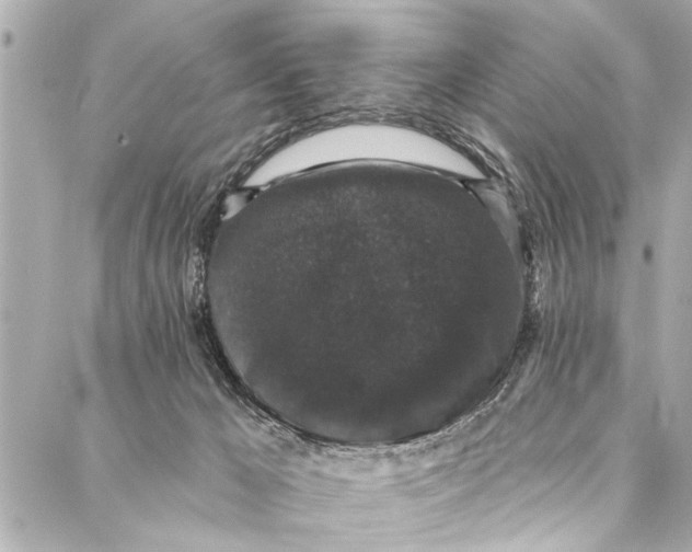 X0000086950029200705071454