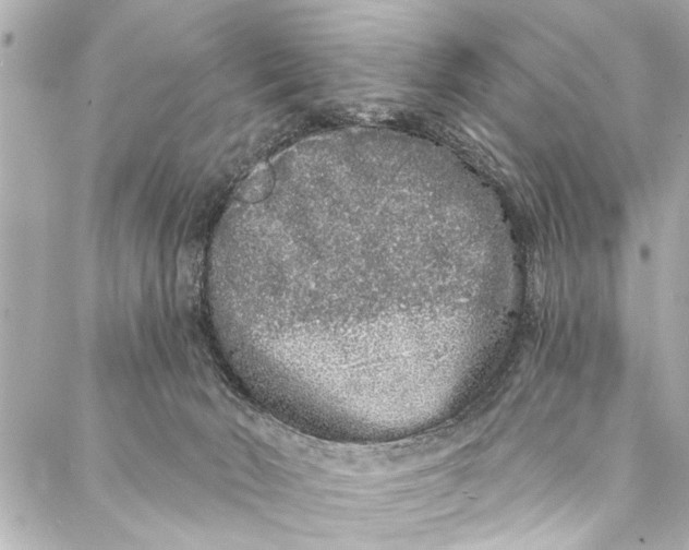 X0000086950030200705071454