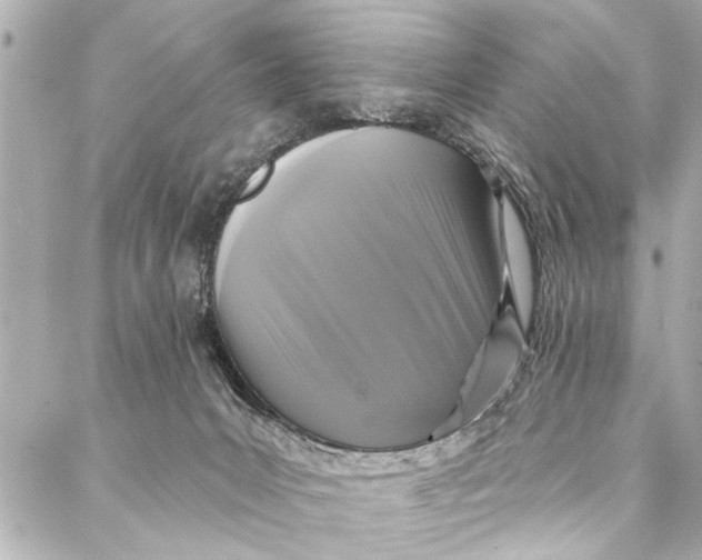 X0000086950031200705071454