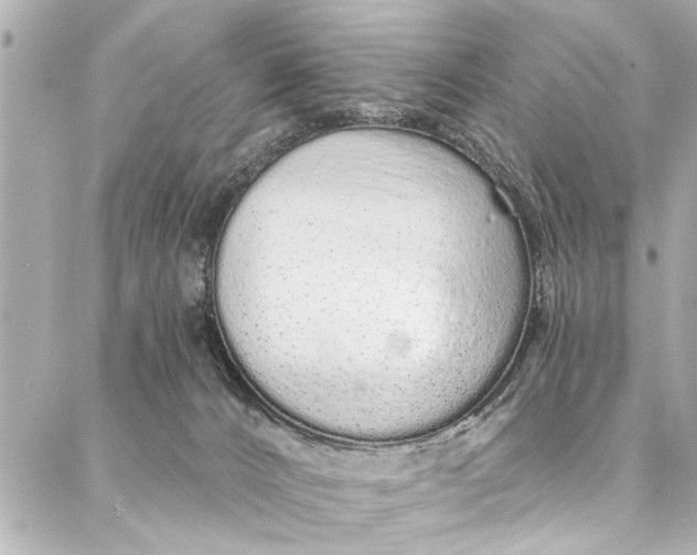 X0000086950032200705071454