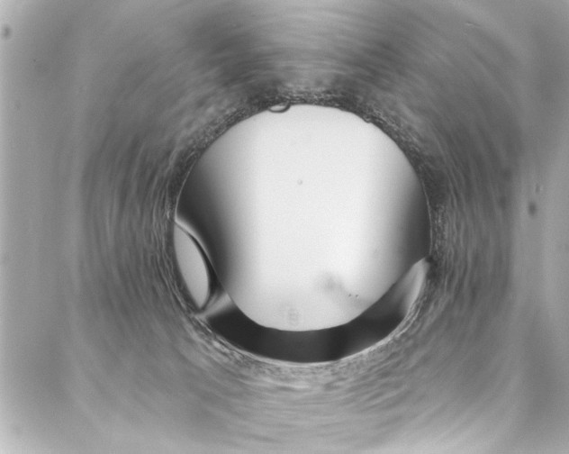 X0000086950033200705071454