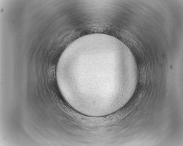 X0000086950034200705071454