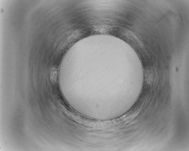 X0000086950036200705071454