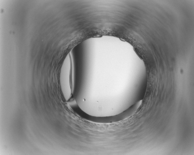 X0000086950037200705071454