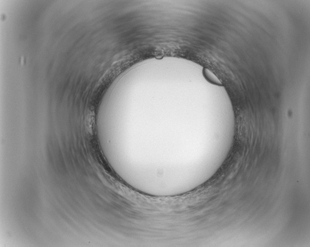 X0000086950038200705071454