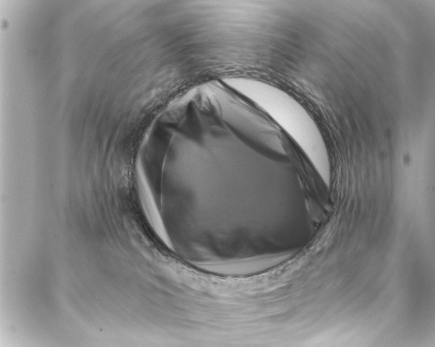 X0000086950039200705071454