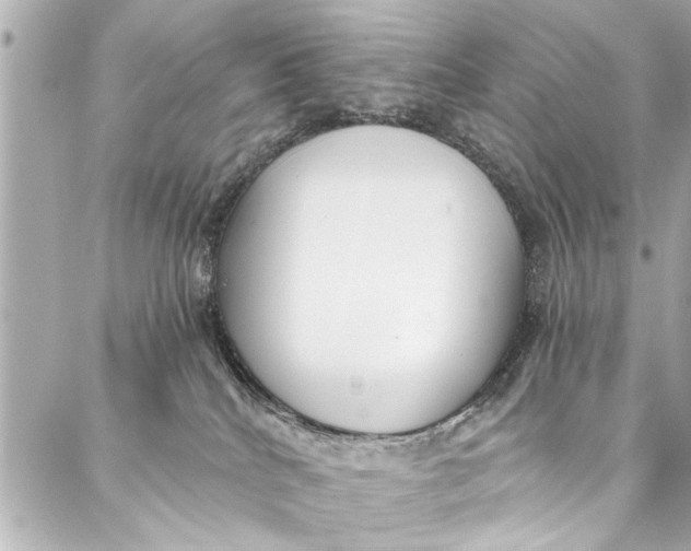 X0000086950040200705071454