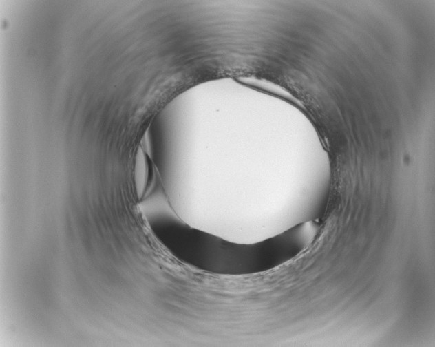 X0000086950041200705071454