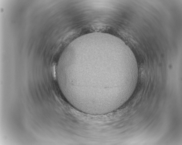 X0000086950042200705071454