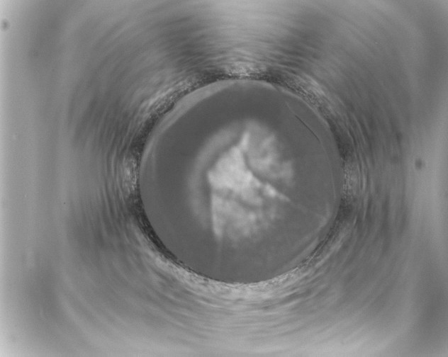 X0000086950043200705071454