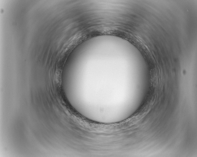 X0000086950044200705071454