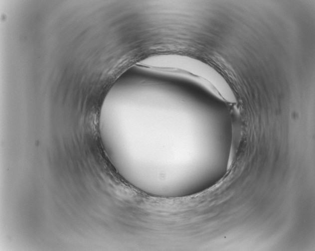 X0000086950045200705071454