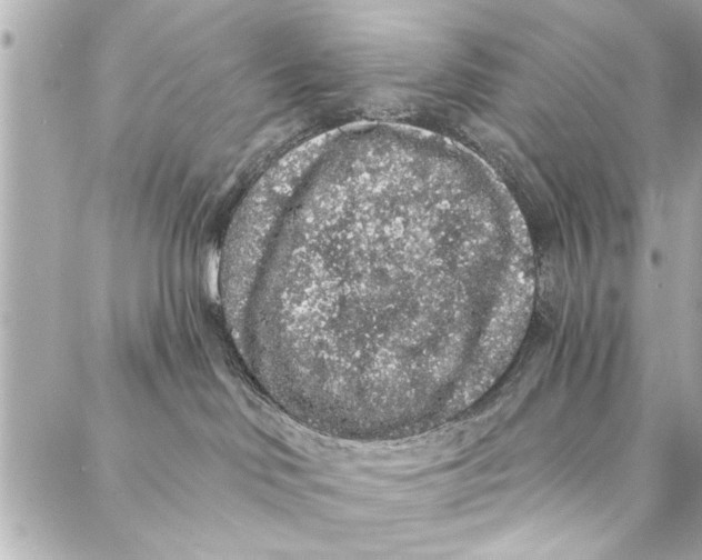 X0000086950046200705071454