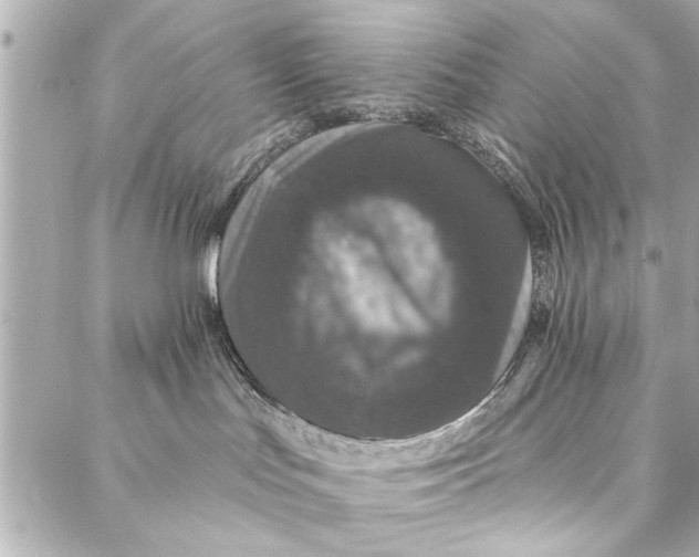 X0000086950047200705071454