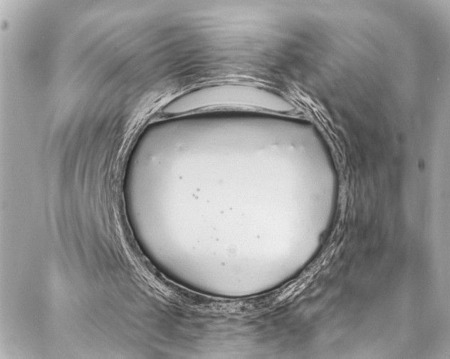 X0000086950049200705071453