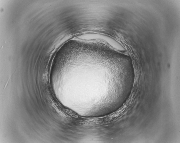 X0000086950050200705071453