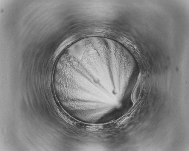 X0000086950051200705071453