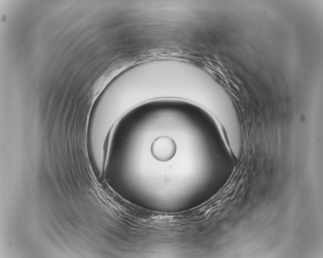 X0000086950052200705071453