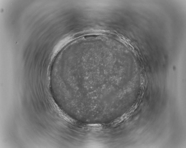 X0000086950053200705071453