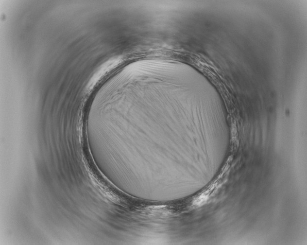 X0000086950054200705071453