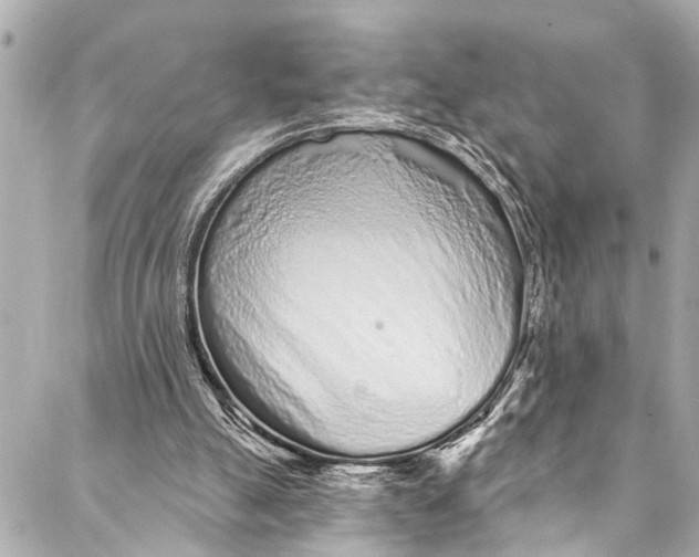 X0000086950055200705071453