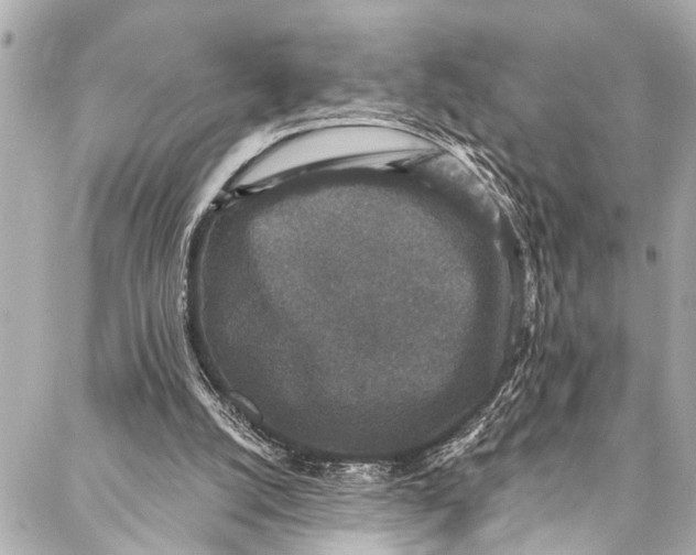 X0000086950056200705071453