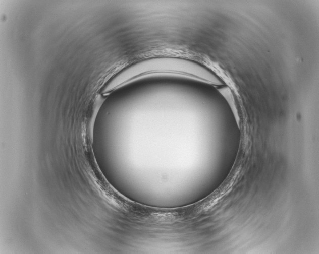 X0000086950057200705071453