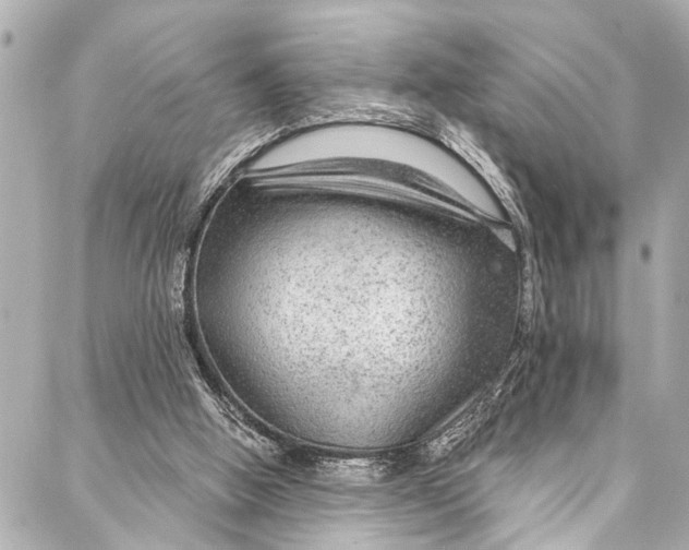 X0000086950058200705071453