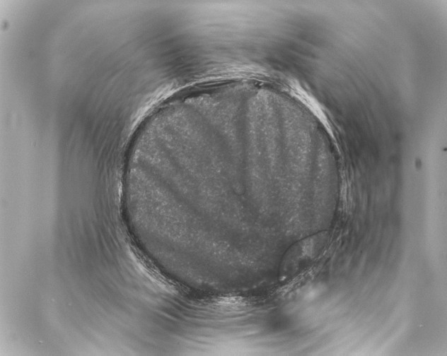 X0000086950059200705071453