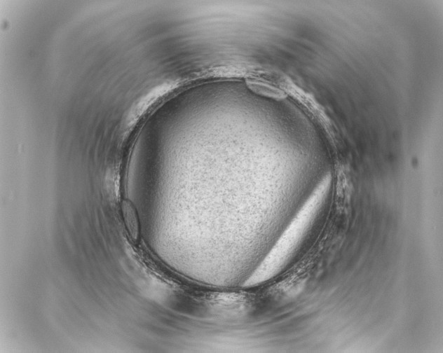 X0000086950060200705071453