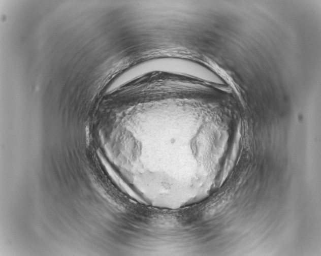 X0000086950061200705071453