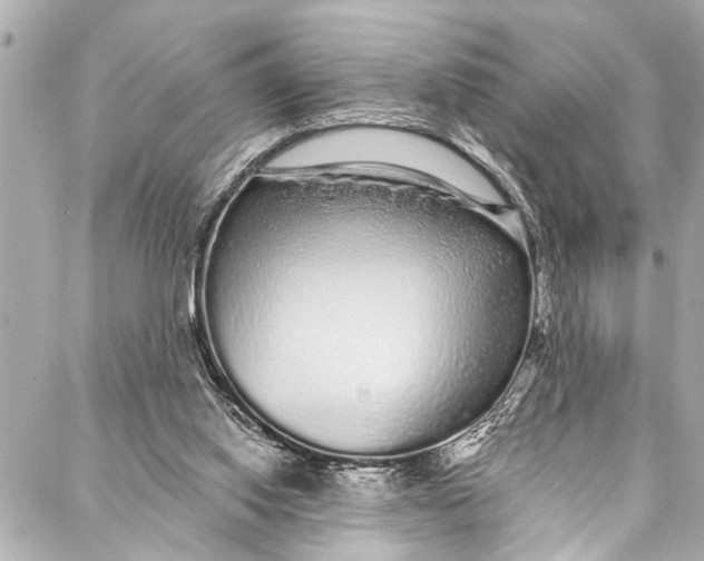 X0000086950062200705071453