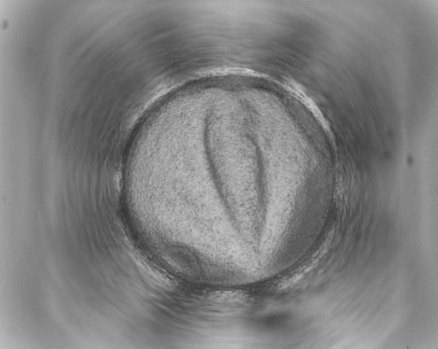 X0000086950063200705071453