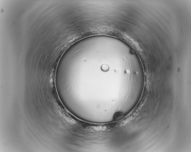 X0000086950065200705071453