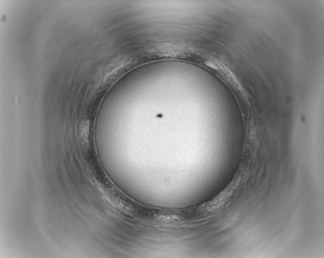 X0000086950066200705071453