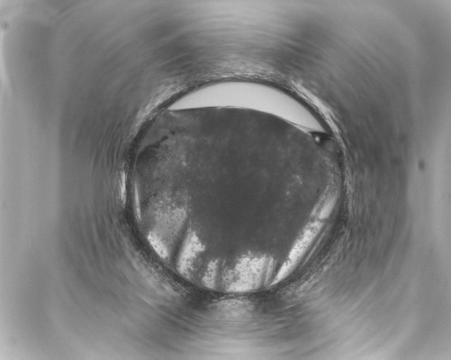 X0000086950067200705071453