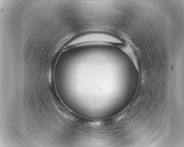 X0000086950068200705071453