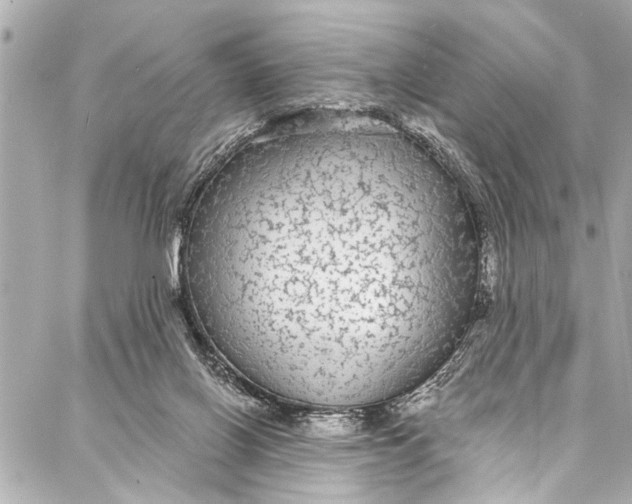 X0000086950070200705071453