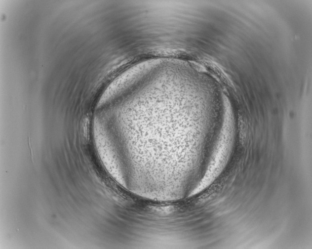 X0000086950071200705071453