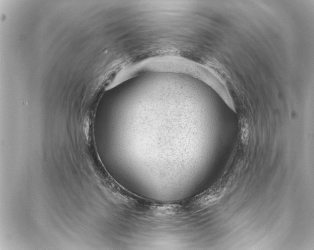 X0000086950072200705071453