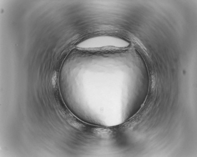 X0000086950073200705071453