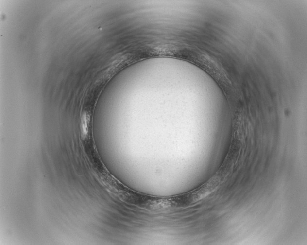 X0000086950075200705071453