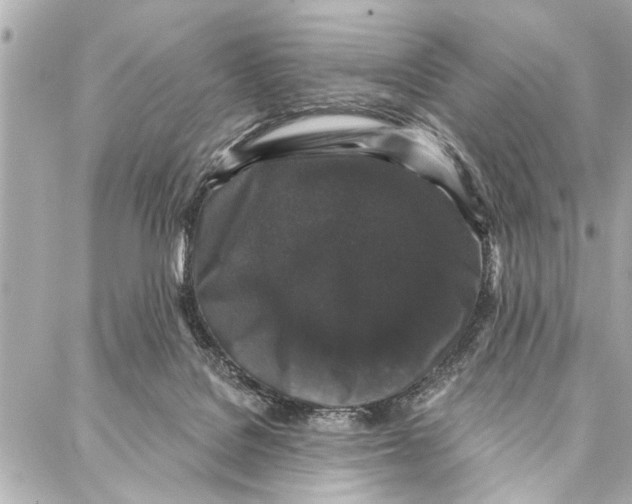 X0000086950076200705071453