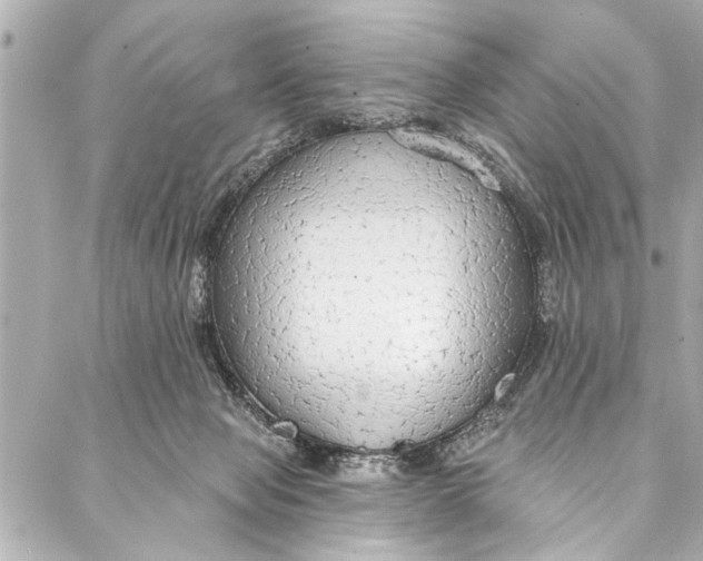 X0000086950077200705071454