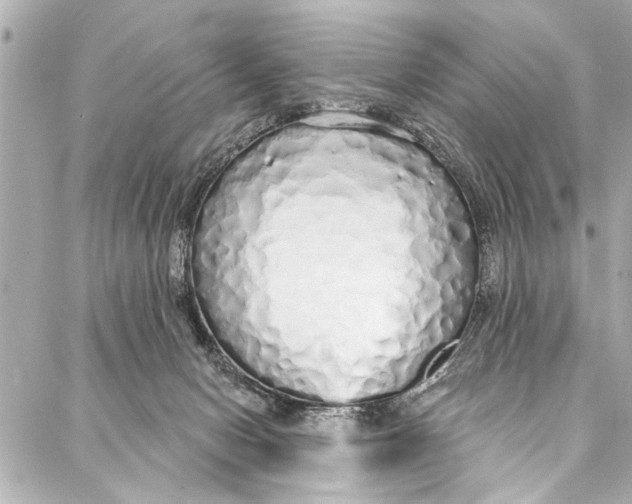 X0000086950078200705071454