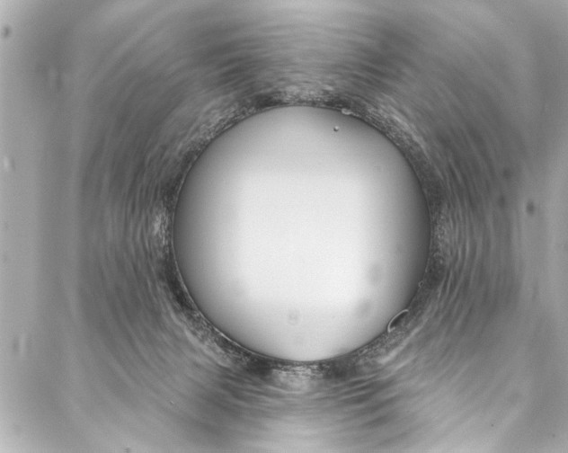 X0000086950079200705071454